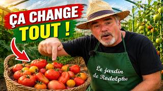 Are you struggling with your tomatoes? Here's how I grow them successfully in Normandy.
