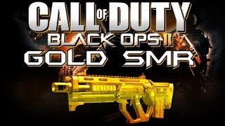 Gold (Diamond) SMR - THE EXTREME RIFLE! (BO2 Weapons Advice and Tips)