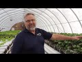 winter growing in the hydroponic lettuce house