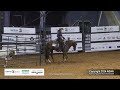 select ranch riding 2024 aqha world championship show