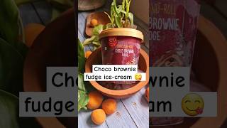 kwality walls choco brownie fudge ice-cream #shorts #trending #icecream