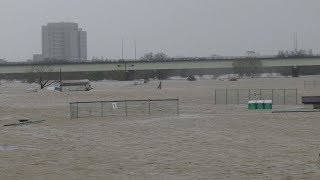 4K【信濃川・現在の状況】新潟県長岡市河川敷！サッカーや野球場が全部沈む！上流の長野市で堤防が決壊して住宅に濁流！【台風19号】