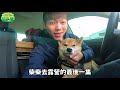 【柴犬抖宅大人】柴柴去露營ep12 抖宅竟然性行大變！！你是誰...