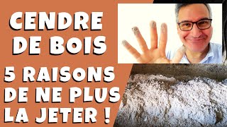 Cendre de bois : 5 raisons pour ne plus la jeter !