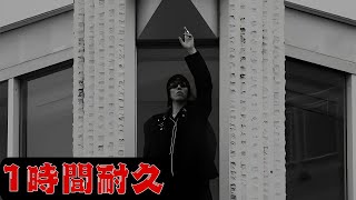 【1時間耐久】野田洋次郎 Yojiro Noda - STRESS ME [Official Music Video]