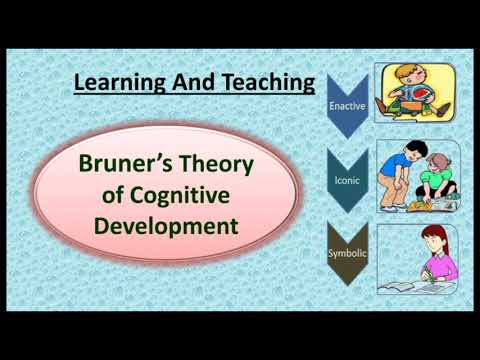 Jerome Bruner's Stages Of Cognitive Development Theory// Learning And ...