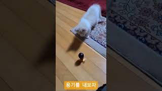 슬이와럭키 용감한 슬이