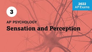 2022 Live Review 3 | AP Psychology | Sensation and Perception