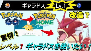 【改造？】レベル１のギャラドスを使いたい！！　【ポケモン剣盾】