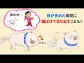 愛犬の寝相は？寝る姿勢でわかる！犬の心理と熟睡レベル