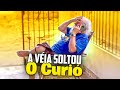 A VÉIA SOLTOU O CÚRIO E LUIZ DO SOM SE APAVOROU | LUIZ DO SOM