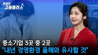 [박하윤 아나운서] 중소기업 3곳 중 2곳 \