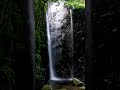 【meditation music zen 30s】eiheiji hit by a waterfall.【朝の瞑想。禅。30秒間】永平寺、滝にうたれて。