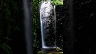 【Meditation music, zen 30s】Eiheiji, Hit by a waterfall.【朝の瞑想。禅。30秒間】永平寺、滝にうたれて。