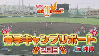 カープ春季キャンプリポート　～２日目～