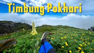 Timbung Pokhari Trek | Monsoon Trek @travellingflute9773