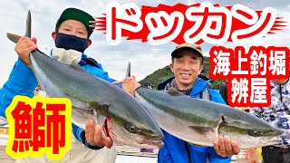 【海上釣堀】青物の王様ブリを釣る！辨屋で鰤に挑戦！