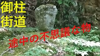 [険道]県道199号線（御柱街道）で八島湿原まで行った。その途中の不思議な石仏⁉