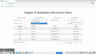Angular 10 Datatable with Custom Filters