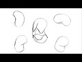 how to draw the torso using the bean shape