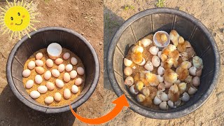 Hatch eggs without incubator 100% real video || Egg incubator without electricity ||Sunlighthatching