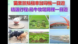 小林旅遊包車團隊帶您遊苗栗-飛牛牧場苑裡一日遊