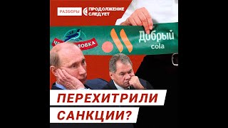 Как санкции сказались на животных. Почему бродячих собак станет больше на улицах городов #shorts