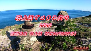 吹上浜でのキス釣り【2020年5月24・30・31日】