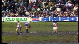 FNWB.com.au - 1980: Round 15, North Melbourne vs Footscray