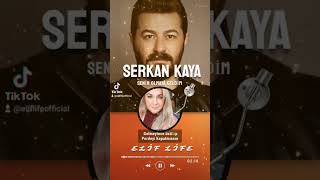 Serkan Kaya -senin olmaya geldim Roman havası #romanhavası #trend #duet #remix #music #dj