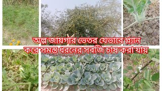 রাসায়নিক সার বিষ ছাড়া 👨‍🌾যেভাবে বাড়িতে🏡 অল্প জায়গার ভেতর প্ল্যান করে সবজি 🍅চাষ করা যায়।