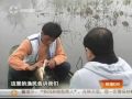 漫步云南普者黑葡萄园 感受高原葡萄魅力 part 2