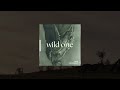 troy cartwright wild one audio