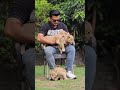 1 Month Old 4 Cute Lion Cubs | Nouman Hassan |