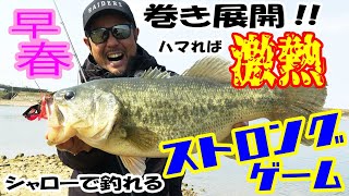 早春の巻き展開!!ハマれば激熱!!シャローで釣れるストロングゲーム