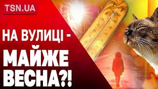 ЗИМОЮ І НЕ ПАХНЕ! Україну накрило аномальне потепління!