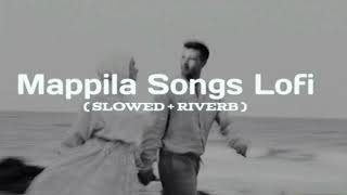 Mappila songs lofi [part 2]Slowed+Reverbed 🕊️Palnila punchiri|Kulusu kettiya|Padavalu Mizhiyullolu|