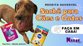 RECEITA de SACHÊ para CÃES e GATOS! Molho para ração, prático e fácil! 🐶🍴