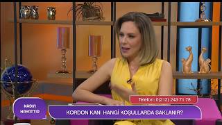 Kök Hücre Nakli Nasıl Yapılır? | Prof.Dr. Songül Şerefhanoğlu #KökHücre