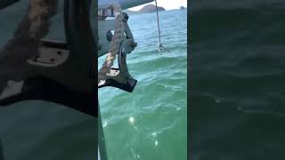 Selden retractable bowsprit and Mantus anchor roller install