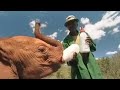 Baby Elephants Need Blanket to be Fed | BBC Studios