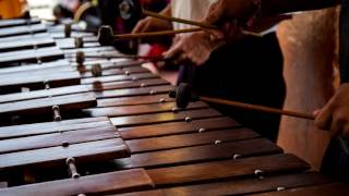 iPhone Marimba Ringtone Free Ringtones For Android MP3 Download