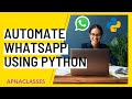 How to automate Whatsapp Using Python 😀😀😀 #apnaclasses #python #automation #whatsappautomation