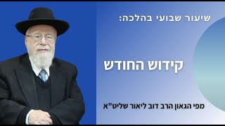 הגאון הרב דוב ליאור: \