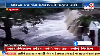 Junagadh: Heavy rain showers in Gir forest; Damodar Kund flooded  | TV9News