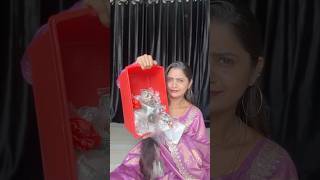 నా పెళ్లి అప్పటి collection… #shortvideos #video #viralvideos #shortsviral#shorts #short #viral