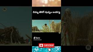 ✨దిమ్మ తిరిగే పుష్పం బయ్యా #Shorts #youtubeshorts #interstingfactsintelugu #factshorts