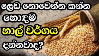 ලෙඩ නැතුව කන්න හොදම හාල් වර්ගය ගැන දැනගන්න | The best type of rice to eat without getting sick