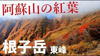 【根子岳】紅葉定番の大戸尾根ルート【2022年11月3日】