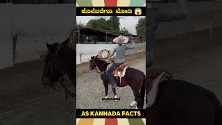 Amazing Horse Holding Technique | #kannada #facts #karnataka #amazing #youtubeshorts #trendingshorts